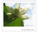 유정아구찜 - 양산시 신명1길 13-1 | 유정아구찜