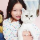 구사