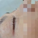 드랍잉크 | [탄방동속눈썹펌] 화장 번지는 여름 필수! 대전속눈썹전문 '드랍잉크' 솔직 후기 (ft. 탄방동속눈썹)