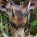 영어의정석 이미지