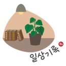 노모어피자서울대 이미지
