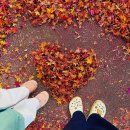 지리산 대경캠핑장 이미지