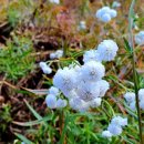 북풍농장 이미지