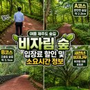 천년숲서로(서) | 제주 동쪽 여행 코스 제주 숲길 추천 | 천년의 숲 비자림