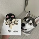 더맛있개 이미지