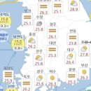 대한건설안전 이미지