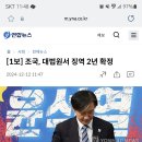 연합뉴스에 조국 대표님 관련 기사 떴네요 이미지