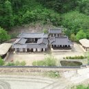 삼산 이미지