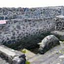 샛도리물 이미지