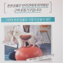 튼튼펫마트