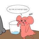 광안리성수 이미지