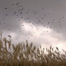 광장농장 이미지