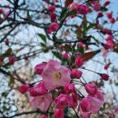 밤가시공원 이미지