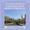 동유럽 신혼여행 두바이 경유 반나절 시티투어 후기 내돈내산 마이리틀트립