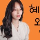 와이티브이 이미지