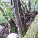 우리유통 이미지