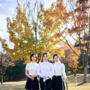 석정힐C.C프로샵