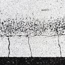 2020-02-0342
