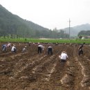 어상천면사무소 이미지