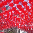 봉우리유치원 | 해질녘, 만사형통 극락왕생 사찰쇼핑몰을 걷다