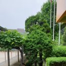 도시농업관리사반 이미지