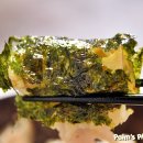 집밥매니아 이미지