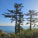 왕피천공원(동쪽) 이미지