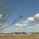 상평까페 이미지