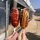 핫도그 | 양평 두물머리 주차장 추천 연핫도그 후기