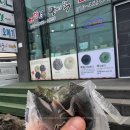 백록담&gt;사라오름&gt;성판악)제주여행/게스트하우스/고기국수/드라이브/카카오 맛집 해담섬 오메기떡 추천