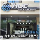 민타카디테일링 | 천안 손세차 휴디테일링 패밀리카 송화가루 관리 후기