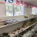 화천산천어가공 이미지