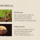 케냐커피