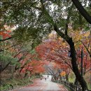 남산 산책로 이미지