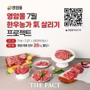 영암한우