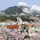 부곡온천 이미지