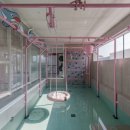 구공스테이도고키즈 이미지