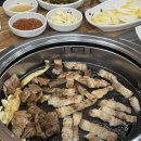 꿀꿀이왕국 이미지