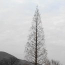 김해건설공업고등학교 이미지