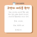 기운내 동물병원 이미지