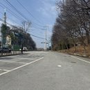 여주-0262 네이버블로그