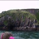 돌고래레스토랑 이미지