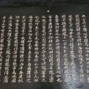 사라리할아버지 이미지