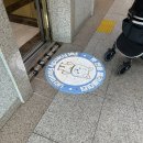 나나비펫 | 애견 동반 숙소추천 공간감이 넓어 리조트 같은 더케이호텔 펫프렌들리 디럭스 프런트 뷰 펫룸 : 솔직후기