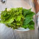 금강산가든 이미지