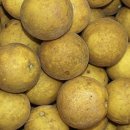 안경캐슬 이미지