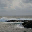 기장횟집민박 이미지