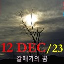 [1212'23] O 갈메기의 꿈 이미지