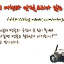 솔밭맛집 이미지