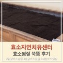 (주)효소자연치유센터 | [분당 효소찜질] 효소자연치유센터에서 효소찜질, 쑥뜸 후기